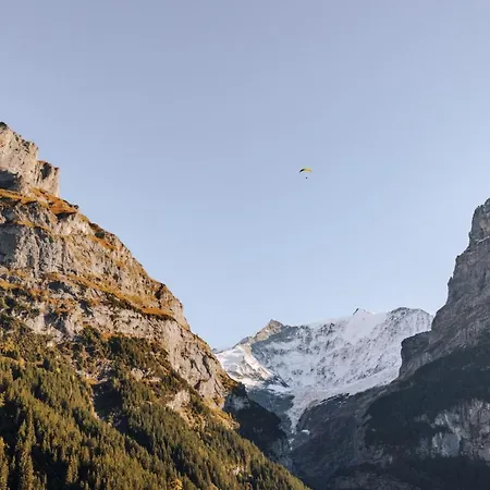 Hotel Fiescherblick *