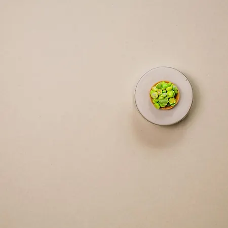 Otel Fiescherblick *