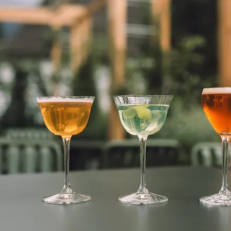 Fiescherblick מלון