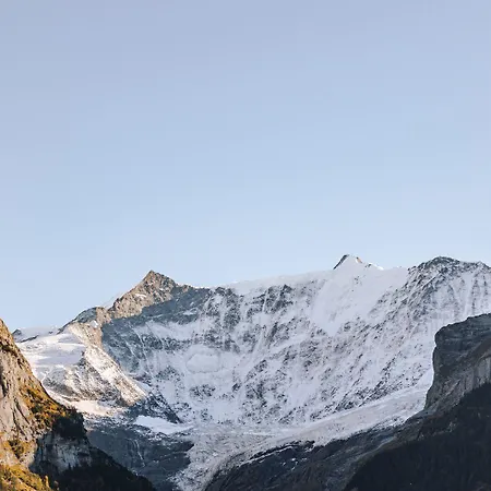فندق Fiescherblick