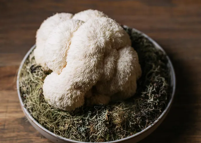 Hotel Fiescherblick *